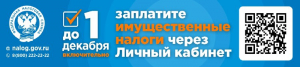 Жизнь школы