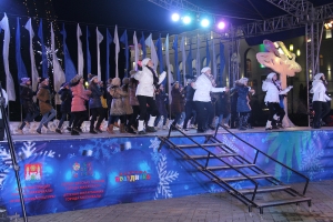 Торжественное открытие Главной елки 2016г.