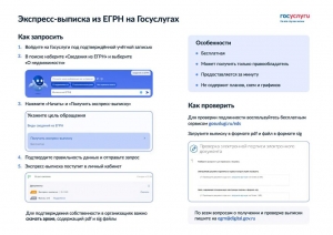 Экспресс - выписка из ЕГРН на Госуслугах